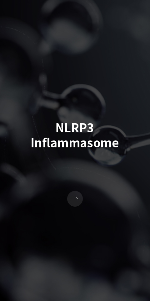 NLRP3 Inflammasome 바로가기